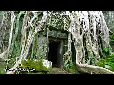 Vista incrível do Templo Taprohm com som natural de pássaros.