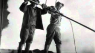 BLUE COLLAR LOVE by LIVE HOW YOU LIVE