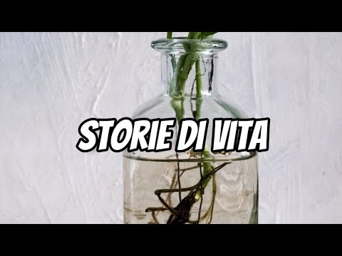 Una storia pulita