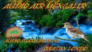 Download lagu Audio Air Mengalir Plus Kicau Burung Sikatan Londo ,Bagus buat Masteran Murai & jenis lainnya mp3
