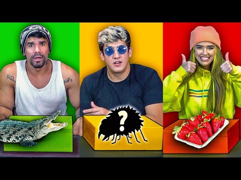 NÃO ESCOLHA A CAIXA COLORIDA ERRADA!! ELES FORAM TROLADOS?