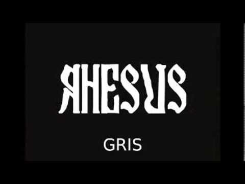 RHESUS Gris