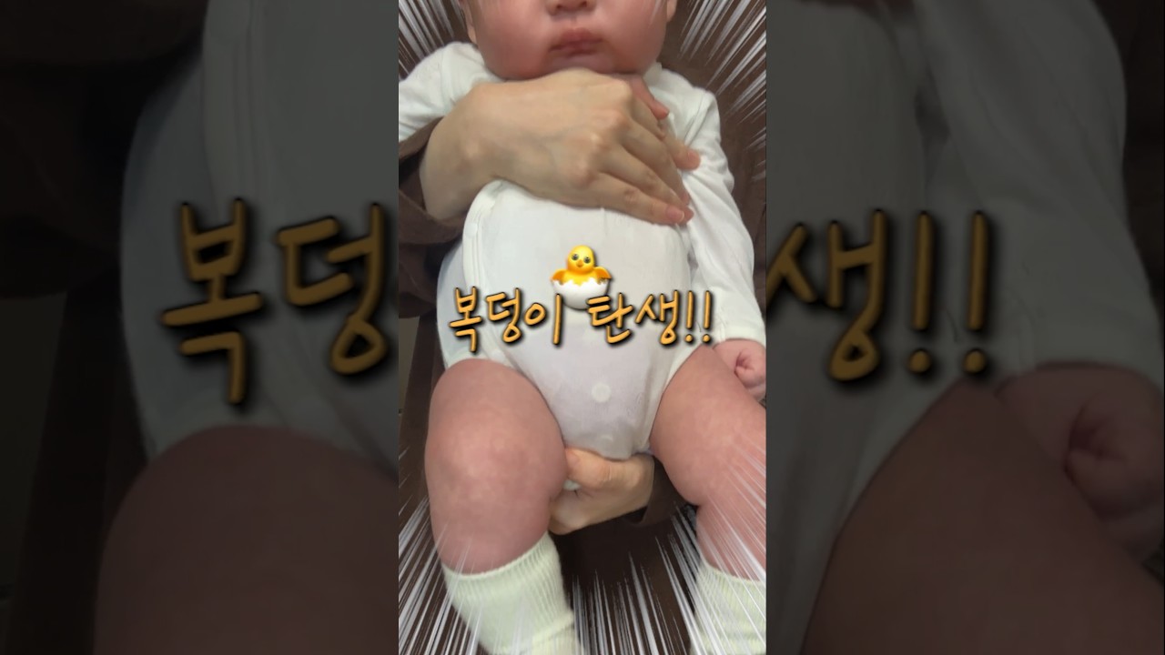 조카 오타쿠 만들기 D-1