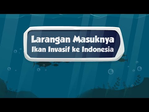 Indonesia Baik