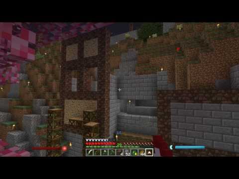 Mobius For Regent: Minecraft 1.6.4 With Mods - Guilding The Walls - M326