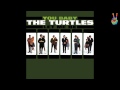 The Turtles - 01 - Flyin' High (by EarpJohn)
