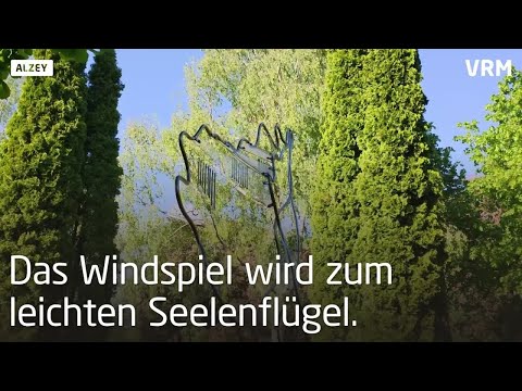 Die Sternenwiese in Alzey