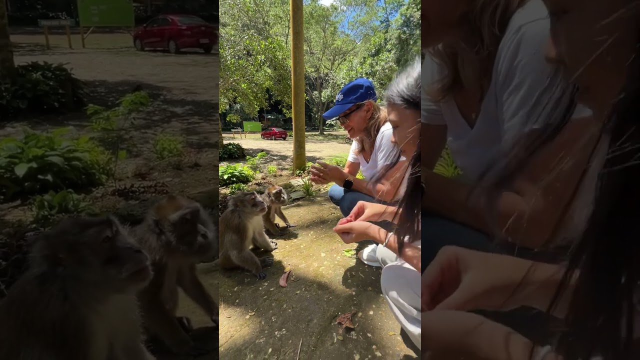 YouTube Short thumbnail