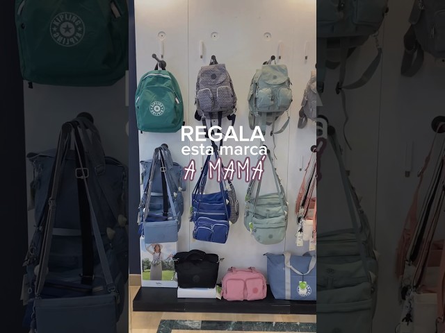 Vídeo relacionado con HARRY POTTER HOUSE OF CHAMPIONS - Bolsa de Deporte, Mochila, Ideal para Niños de Diferentes Edades, Cómoda y Versátil, Calidad y Resistencia, 50x25x25 cm, Color Gris Melange/Negro
