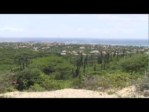 View from Savaneta, Aruba
