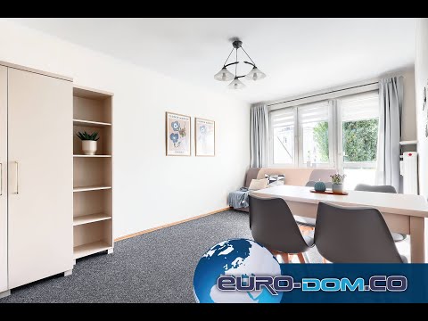 Miniatura filmu