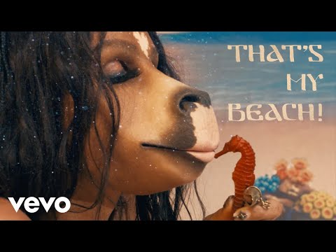 On the Beach - Faces