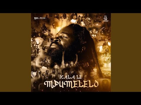 05. Big Zulu - NgSale Nobani (ft. Zeh Mcgeba & Zee Nxumalo) [Official Audio]
