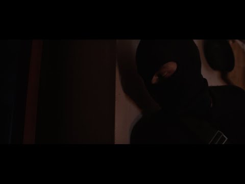 Невольный вор