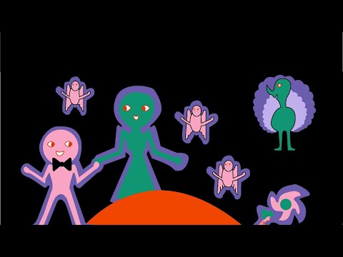 DJ DANI NIJENSOHN Live