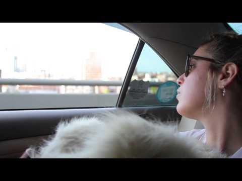 Lee Bannon - "DAW In The Sky For Pigs / Disneµ Girls" (Official Video)