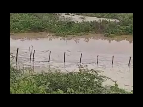 AÇUDE ARROMBA NA ZONA RURAL de Ipaporanga #ceará, 15/02/26, propriedade do professor Chagas de Paula