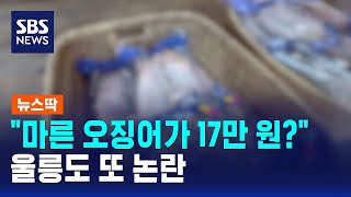 "마른 오징어가 17만 원?"..울릉도 또 논란 / SBS / 뉴스딱
