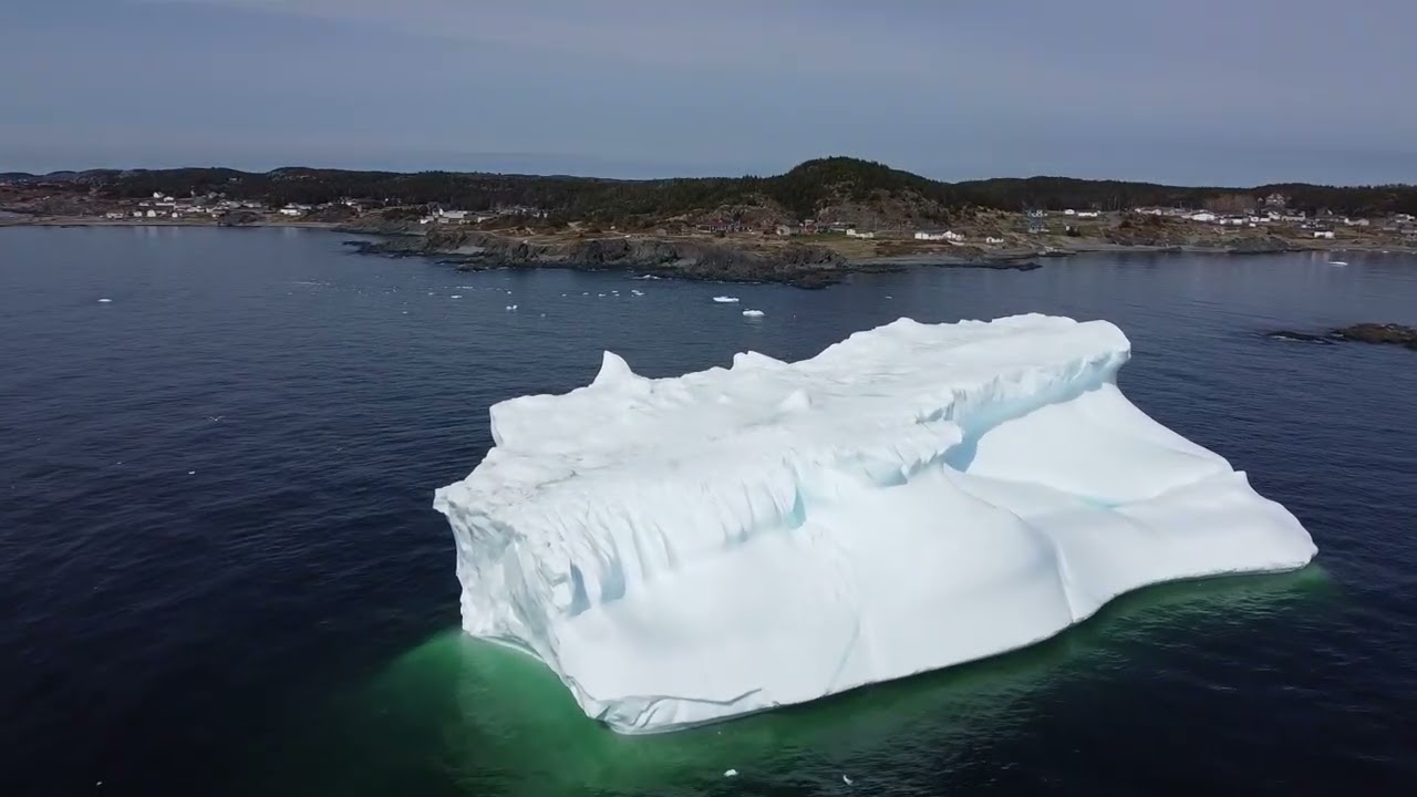 Iceberg Alley & whale watching, Twillingate
