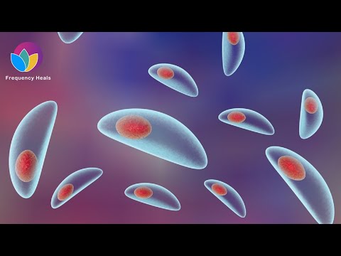 Toxoplasmosis Elimination | Remove Toxoplasma Parasites & Relieve Body Ache and Fever