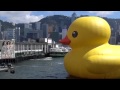 Bye Bye Rubber Duck