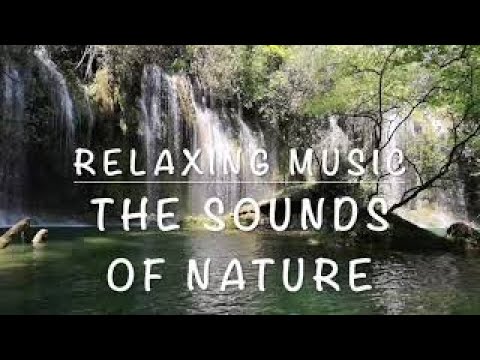 Forest Waterfalls Ambience With Bird Singing (FinalVersion)(3hrs) Relaxing Music, Sounds of Nature,