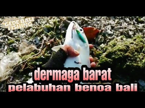 CHAS JIG || DI DERMAGA BARAT PELABUHAN BENOA BALI  # 01