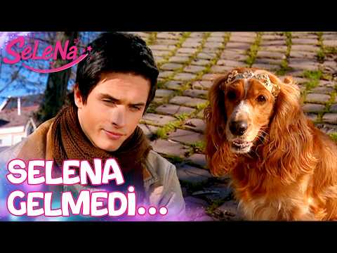 Selena köpeğe dönüştü!😱 - Selena 16. Bölüm