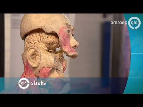 GLD Nieuws 20 oktober 2017