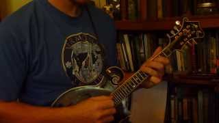 Prabhati (based on Raga Gunkali) mandolin + mason jar tabla