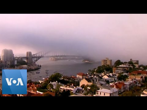 Sydney Enveloped by Smoke and Fog