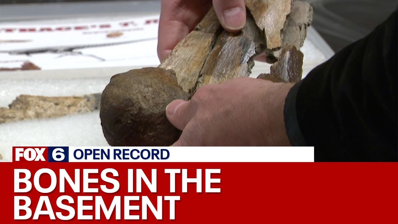 Episode 329: Bones in the Basement | FOX6 News Milwaukee