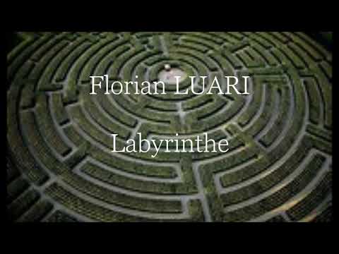 Labyrinthe & Florian LUARI