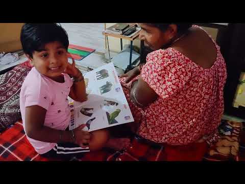 Learning animal Vegetables and fruits