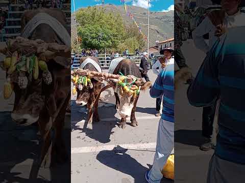 San Isidro Labrador Calca Cuzco Perú