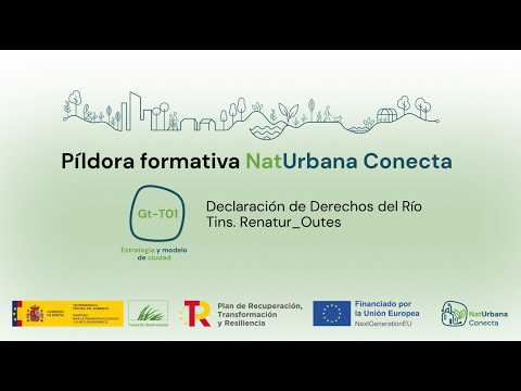 Declaración de Derechos del Río Tins