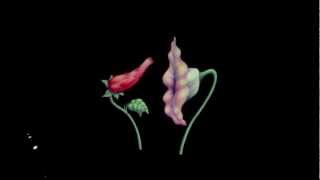 Roger Waters "Empty Spaces" (The Wall Live) @ Bercy, Paris - 30/06/2011 [HD]