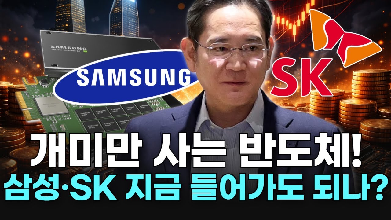 개미만 사는 반도체! 삼성·SK 지금 들어가도 되나?