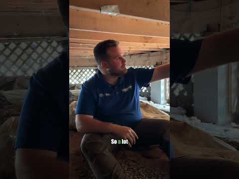 Fixing Careless Contractor's Decisions