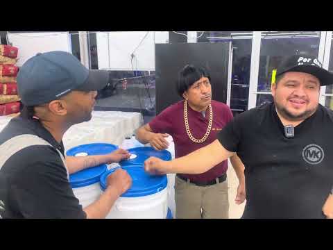 I've only been in the north for a few months and I'm already learning the language just like the ...