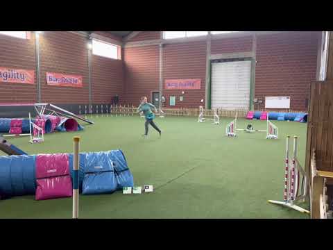 Első Bing Agility-s edzésünk