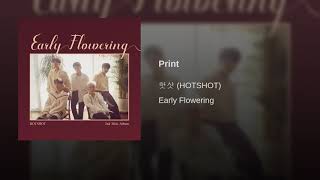 HOTSHOT – PRINT