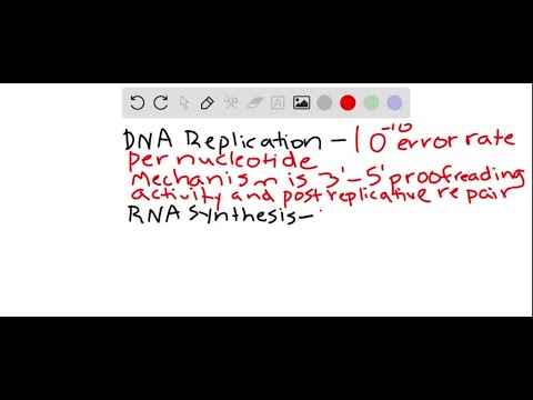 Enhancing fidelity. Compare the accuracy of (a) DNA replication, (b) RNA synthesis, and (c) protein…