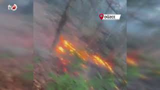 Düzce’de Ormanlık Alanda Örtü Yangını