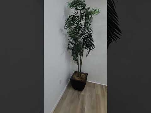 Pine Ave 6545 - Video 2 of 2