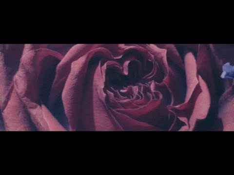 ACID ANDROID - roses (full ver.)
