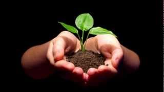 Automatic Loveletter - Let It Ride