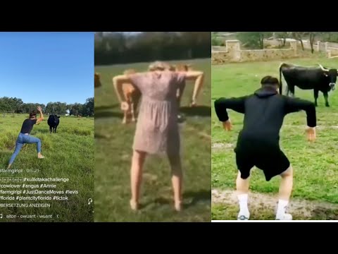 Kulikitaka Challenge - Funny TikTok Compilation