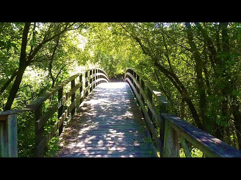 🇪🇸 🌳 Cambre ⇒ Culleredo (Ruta Templaria) (Tráiler) #Senderismo #Galicia #España