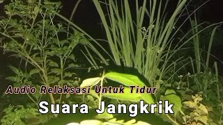 Download lagu Suara jangkrik pengantar tidur mp3